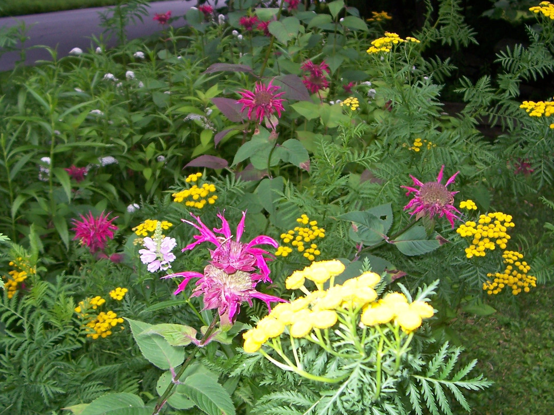 Copper Kettle Bed & Breakfast主图