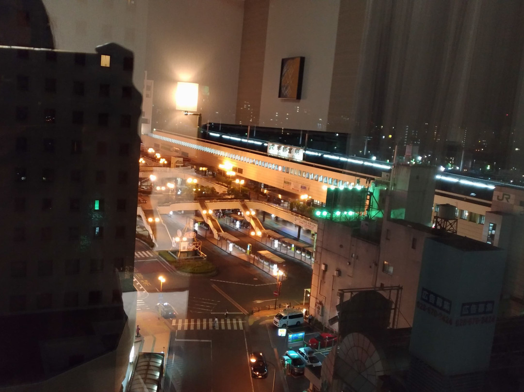 宇都宫站前里士满酒店主图