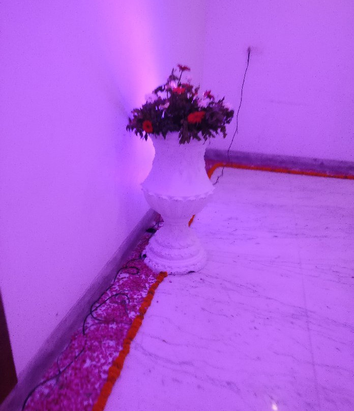 Capital O 8677 The Amor主图