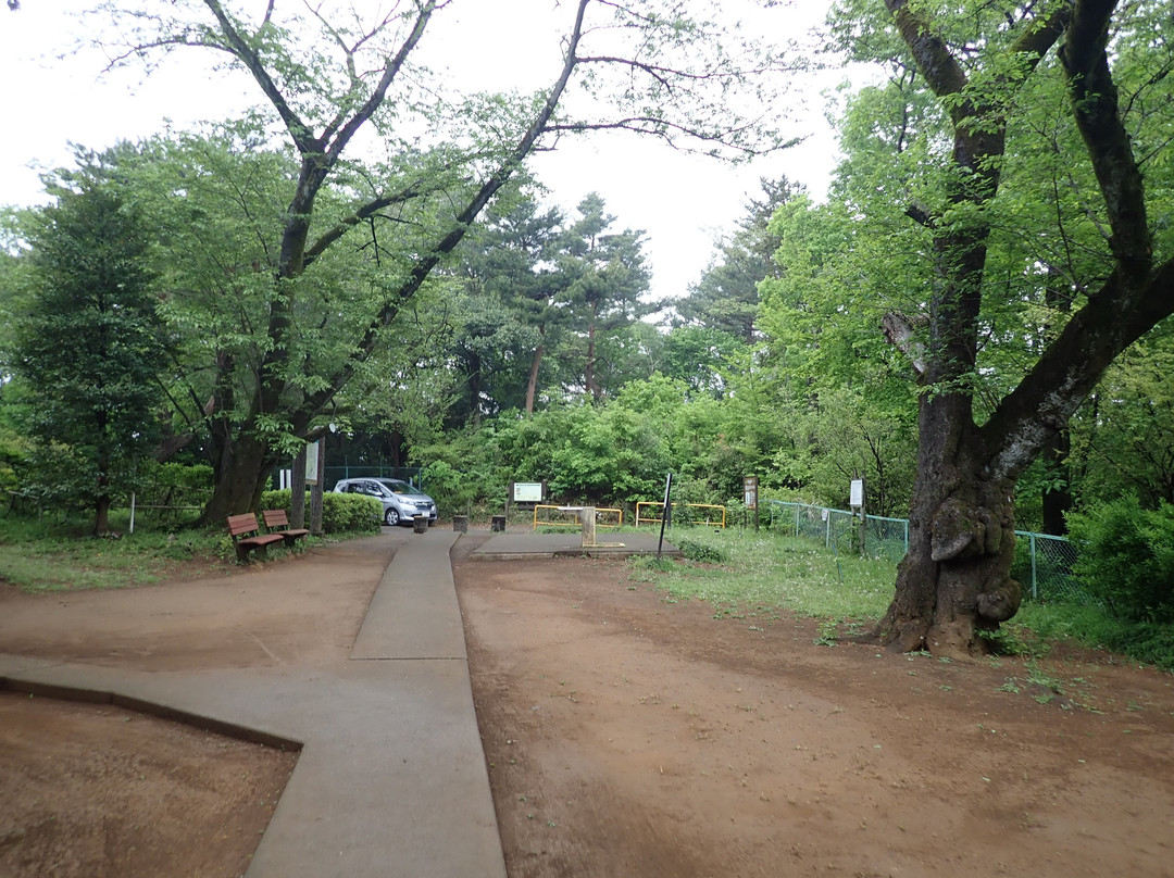 Arahata Fuji-所泽市必去景点