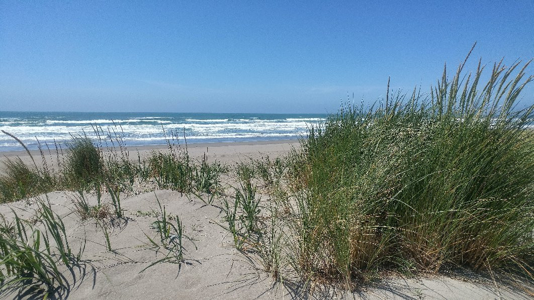 Mad River Beach County Park景点图片