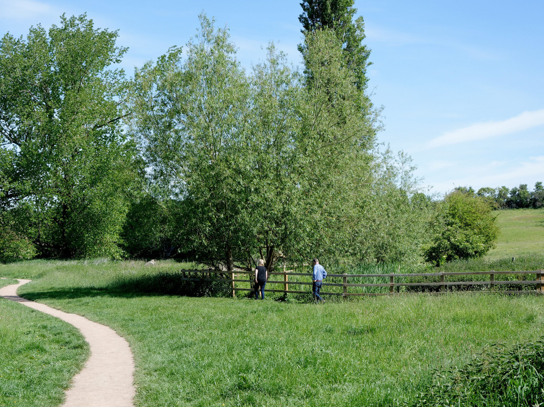 Batford Springs Nature Reserve景点图片