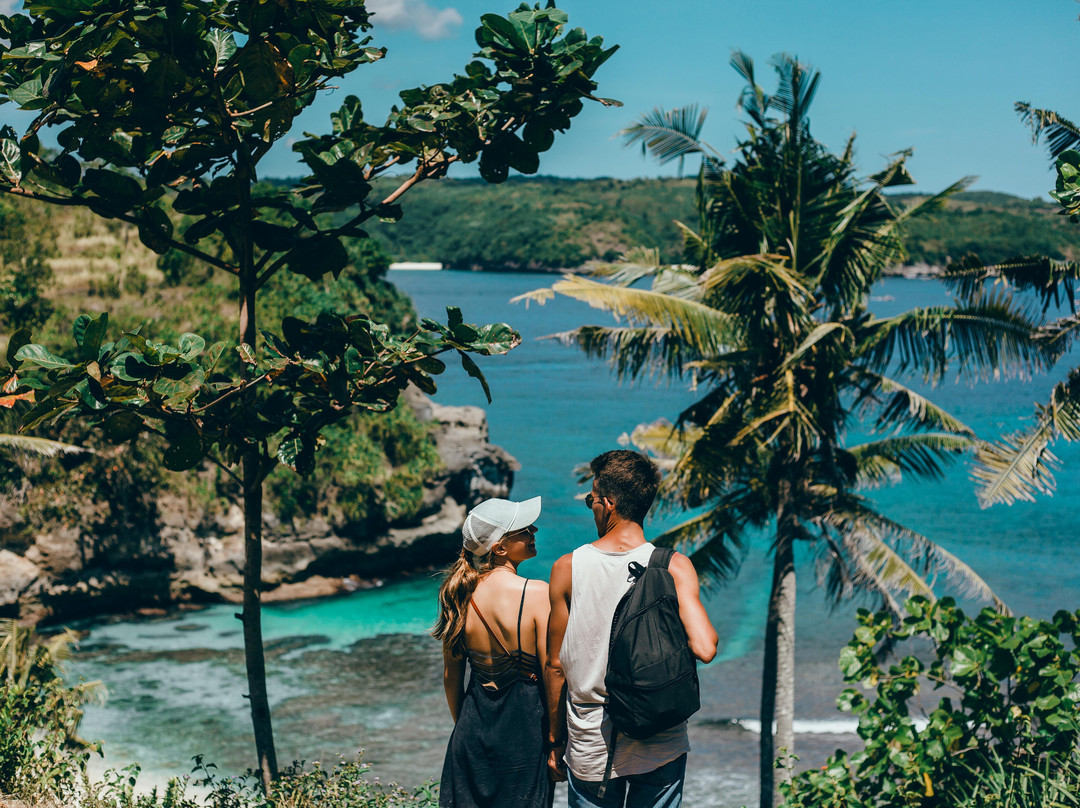 Whitsunday Water Taxi Transfers-舒特港必去景点