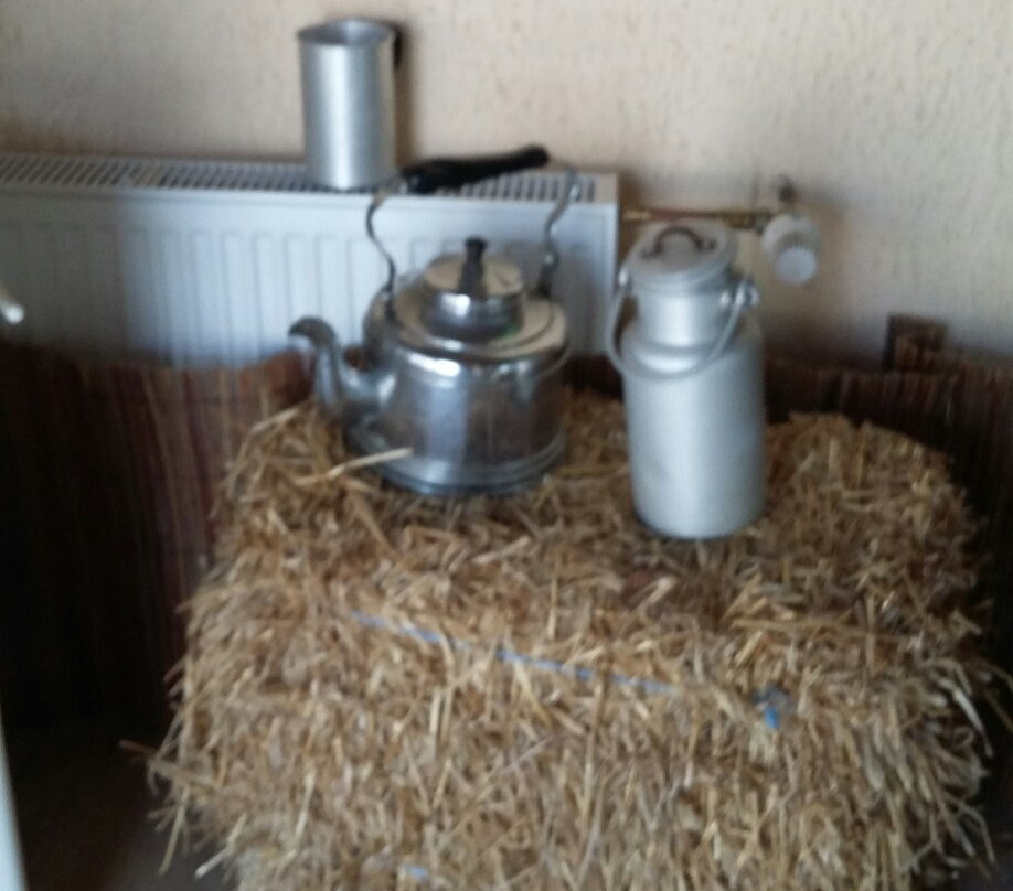 黑肯霍夫酒店主图