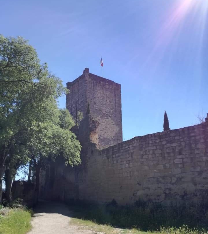 Château de Sommières景点图片