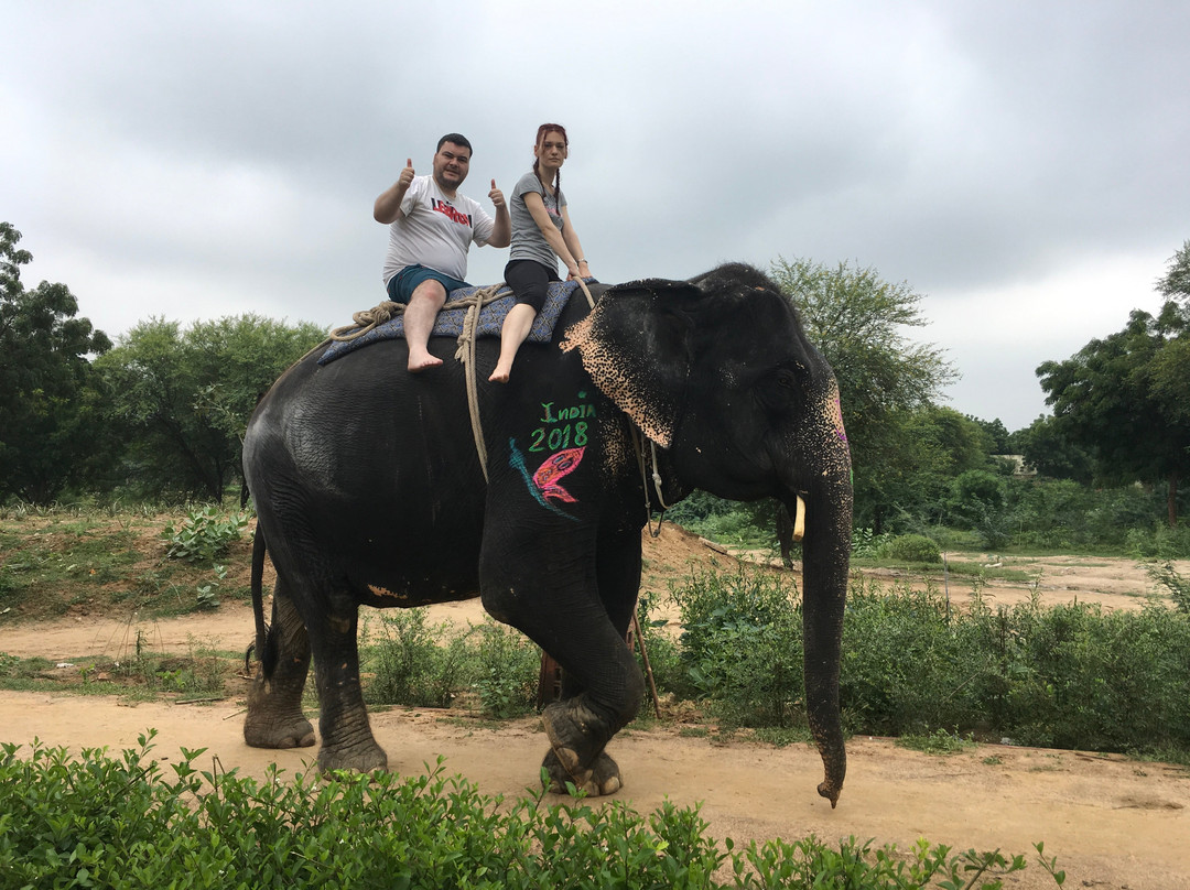 Elefriend-Amer必去景点