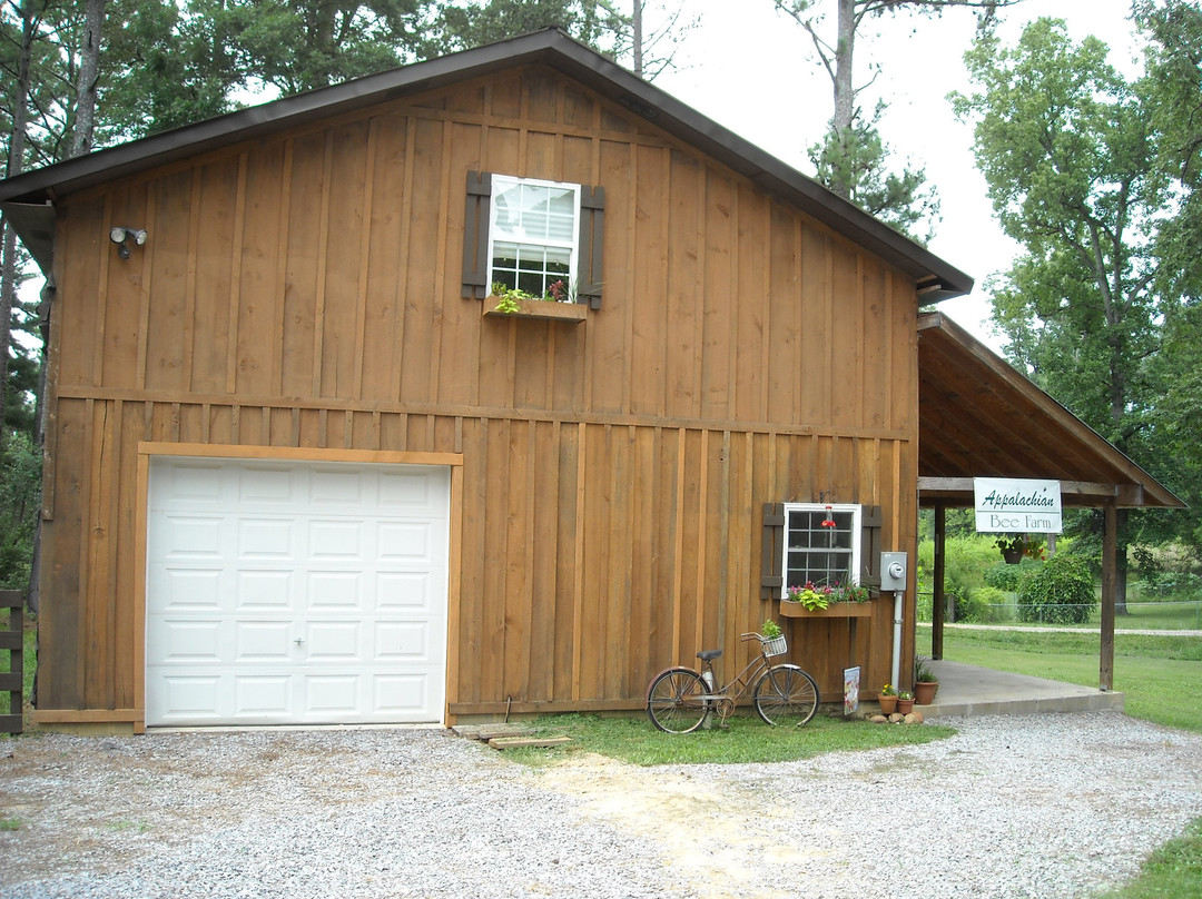 Appalachian Bee-Ocoee必去景点