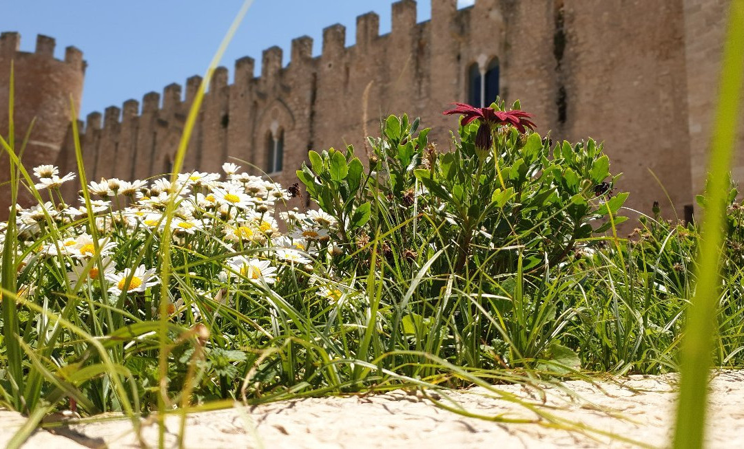 Castello dei Conti di Modica-Alcamo必去景点