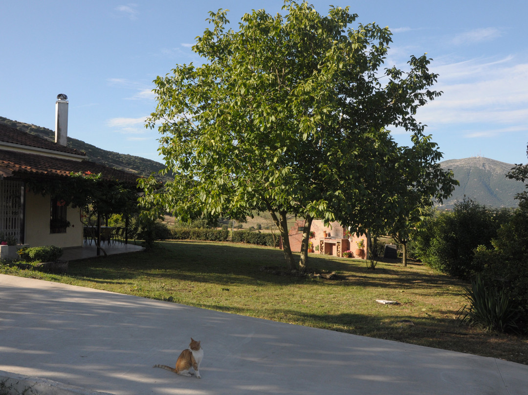 Neokesaria旅游攻略图片