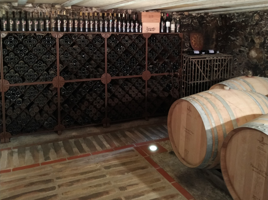 Chateau de l'Horte主图
