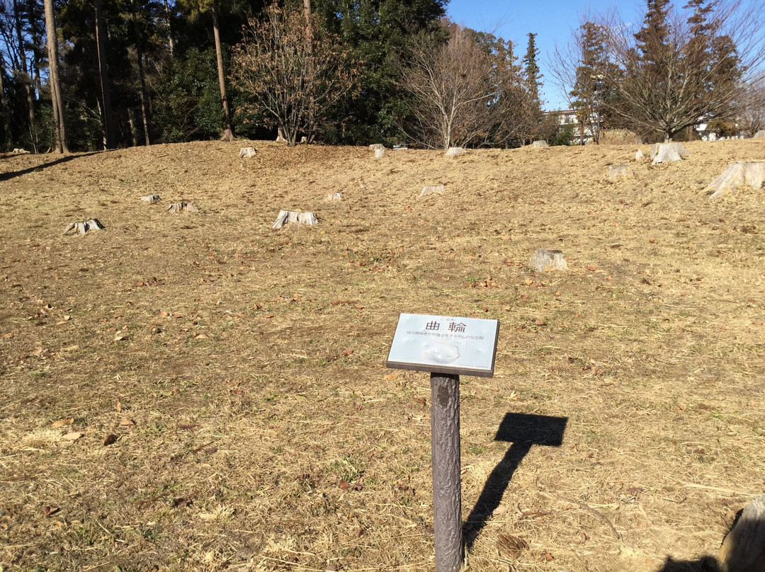 Matsugasakijo Ruins-柏市必去景点