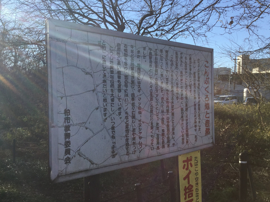 Kombukuro Pond Natural History Park-柏市必去景点
