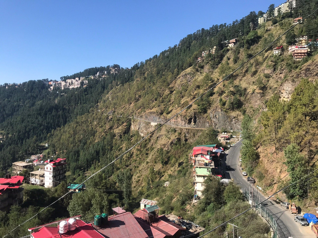 The Pine Residency主图