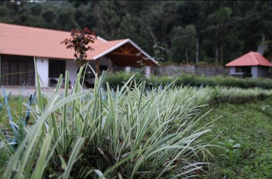 The Sattva Nature Retreat主图