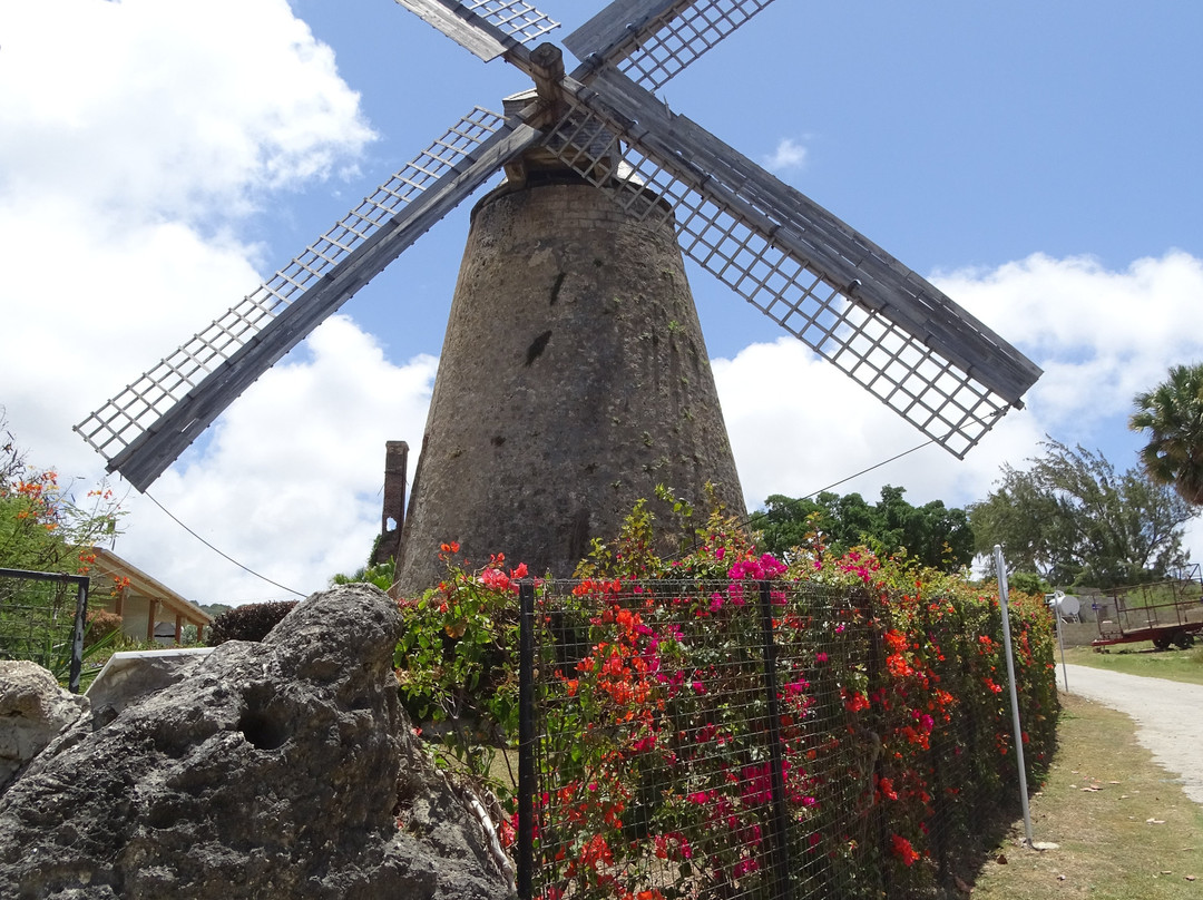 Saint Andrew Parish旅游攻略图片