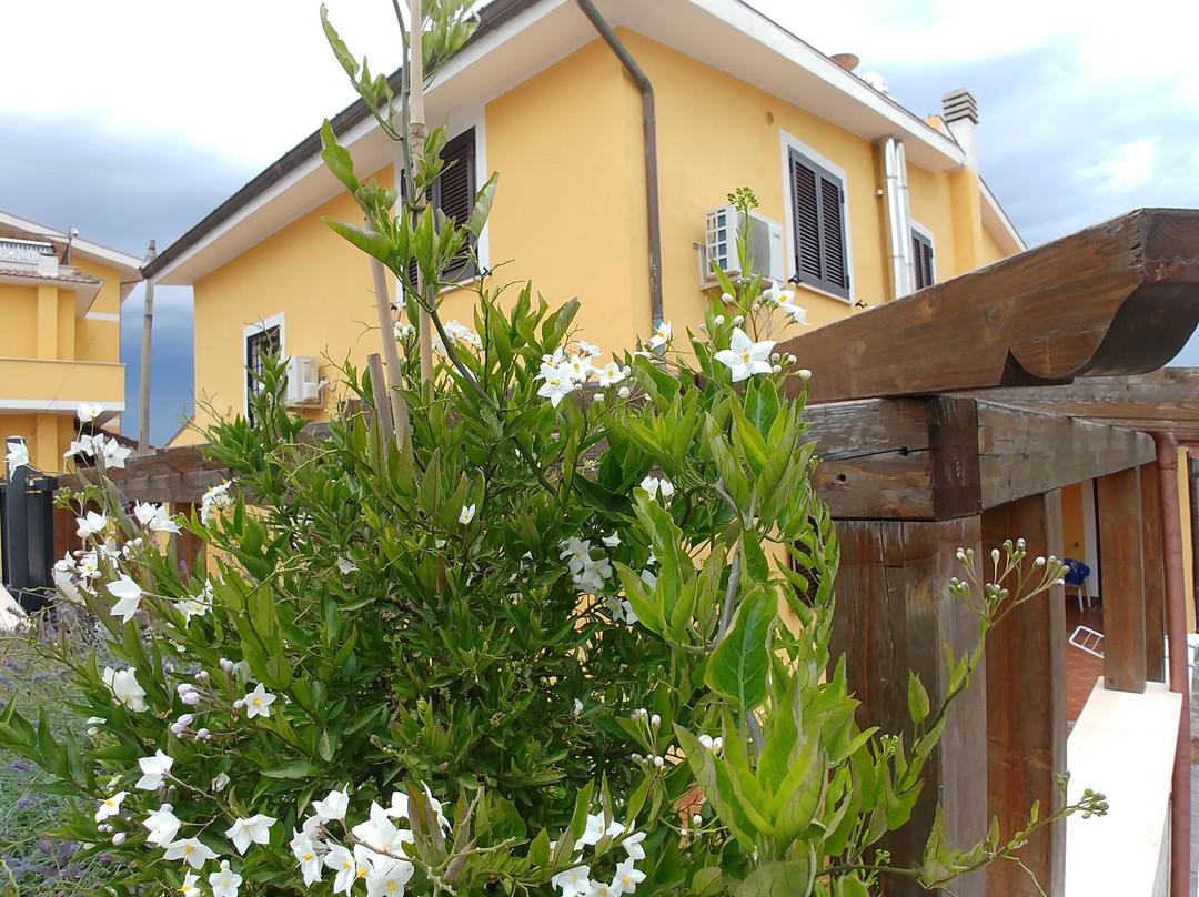 Casale Tuscolano主图