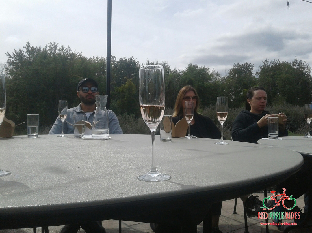 Red Apple Rides-多佛港必去景点