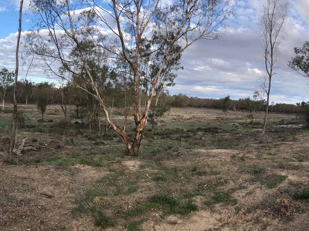 The Barwon Inn主图