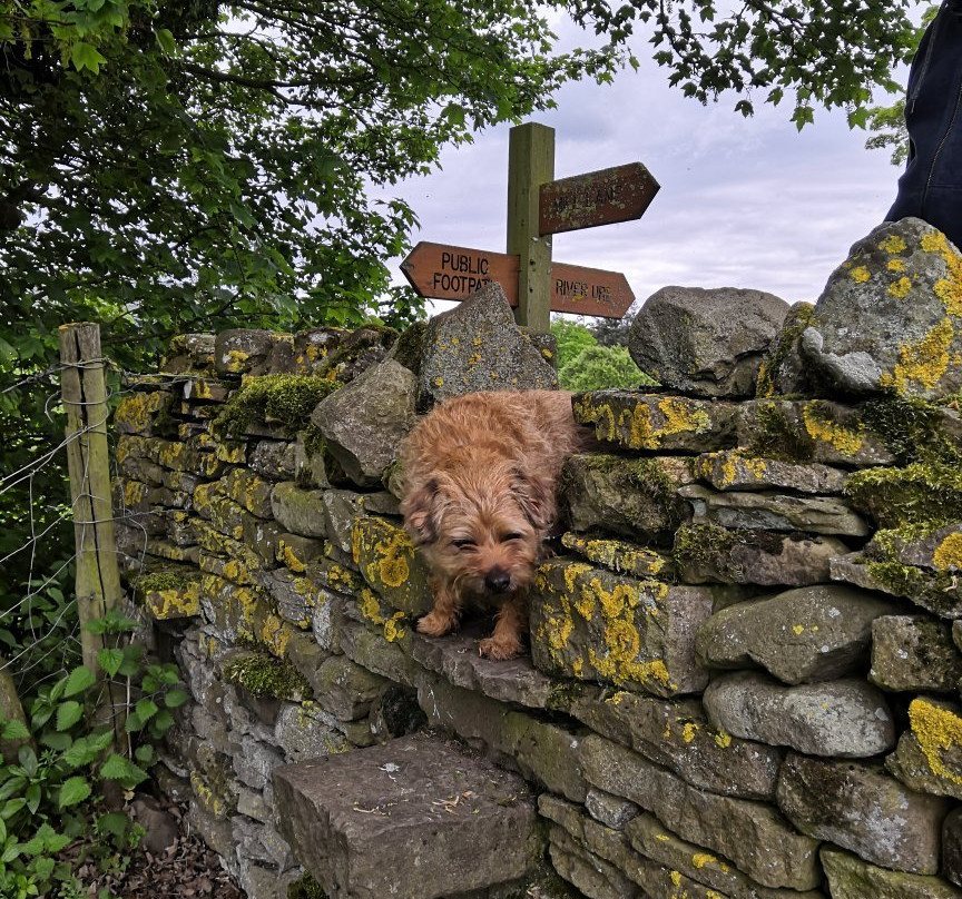Redmire Force-Redmire必去景点