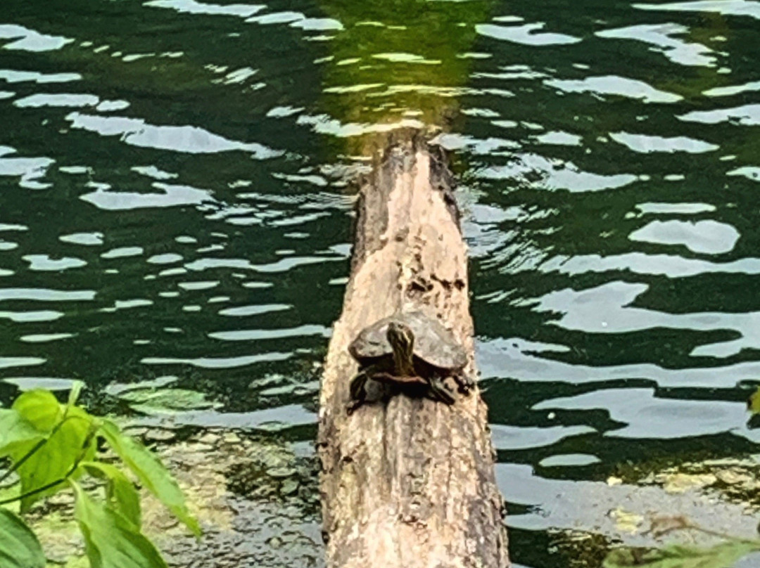 Saunders Springs Nature Preserve-Radcliff必去景点