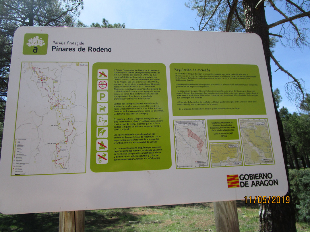Pinares del Rodeno景点图片