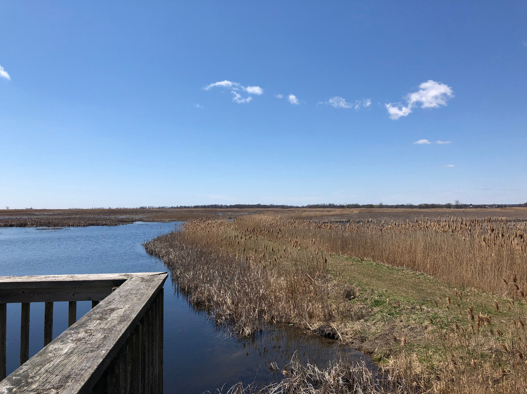 Big Creek National Wildlife Area景点图片