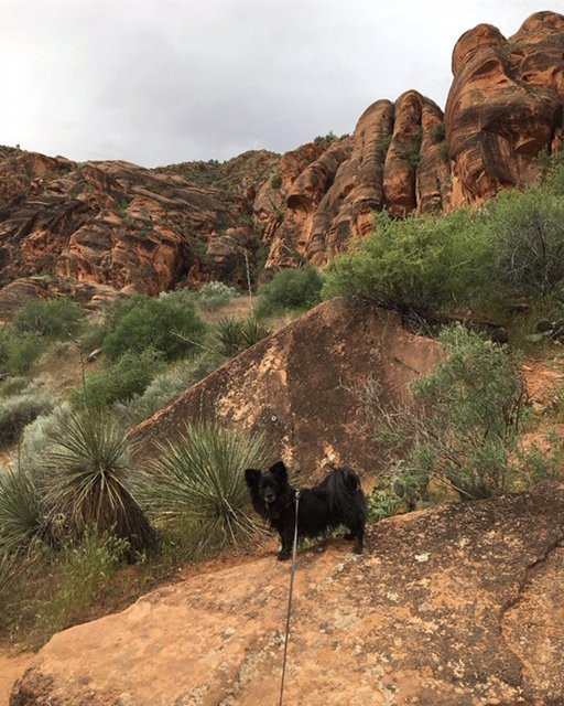 Red Reef Trail-Leeds必去景点
