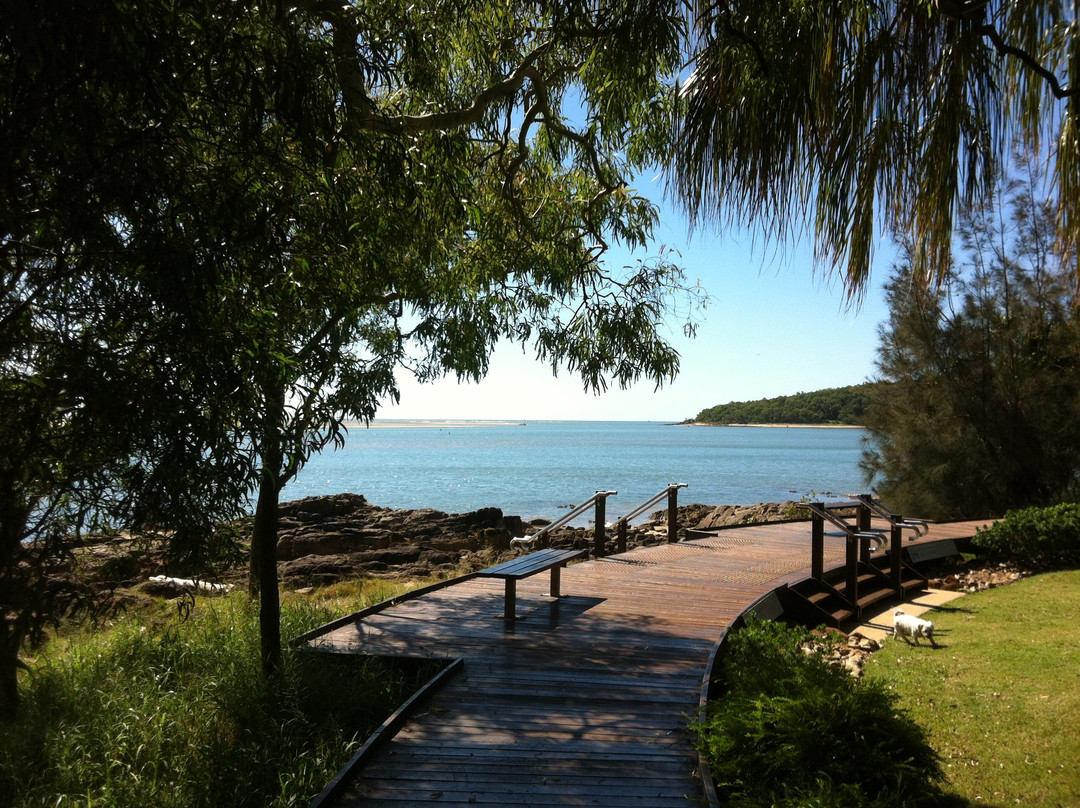 Mango Tree Motel主图