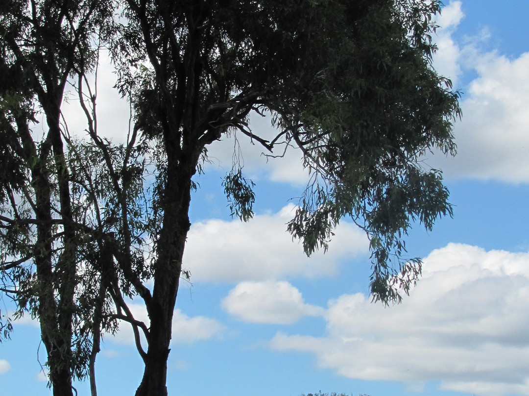 Casa Nostra Motel主图