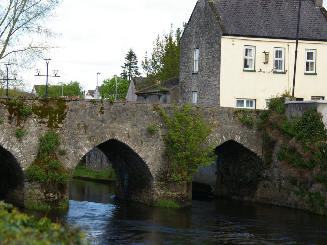 Ireland's Oldest Bridge-Trim必去景点