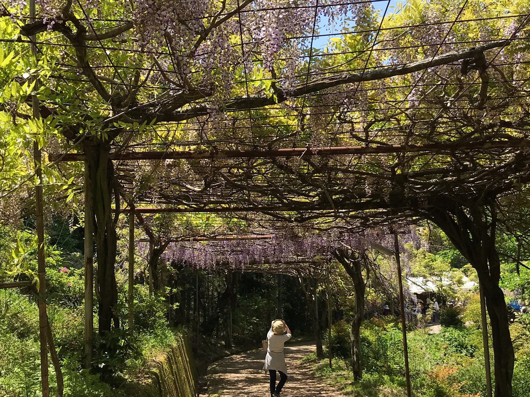 Miyama no Sato Shinrin Park-日高川町必去景点