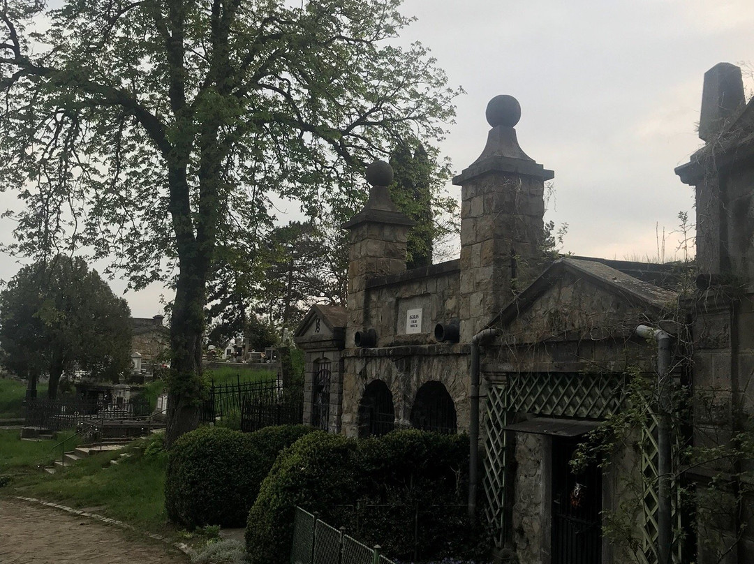 Covasna County旅游攻略图片
