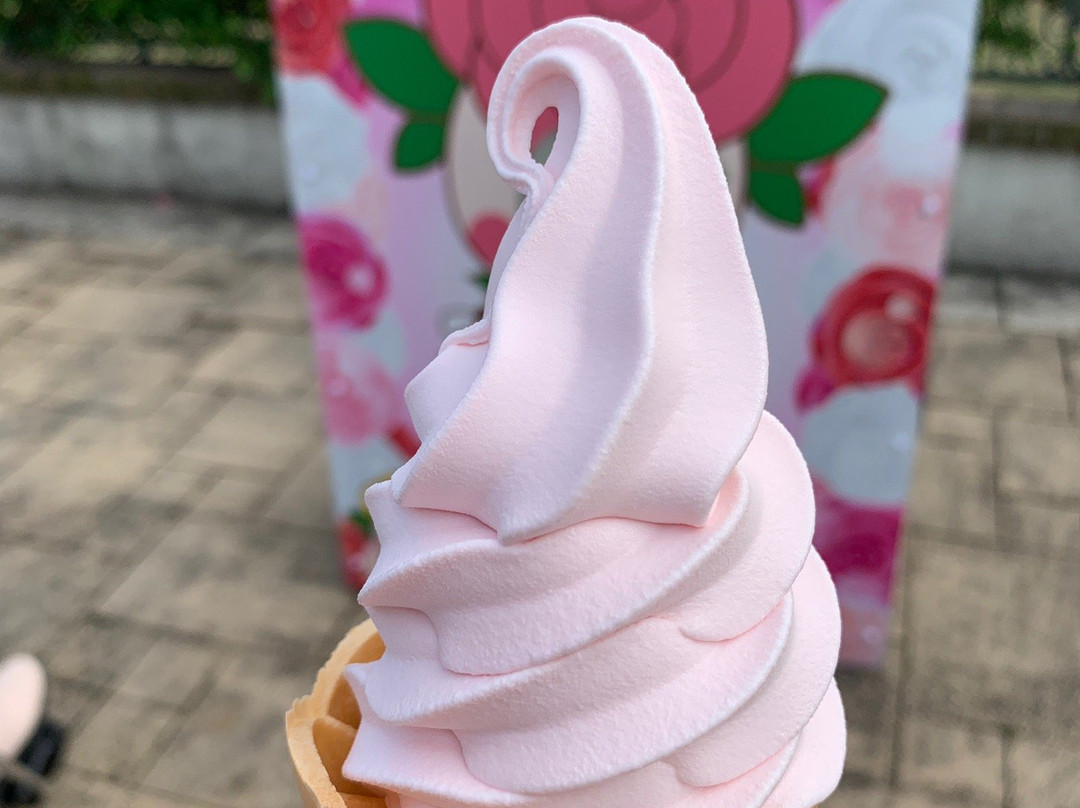Kanoya Rose Garden-鹿屋市必去景点