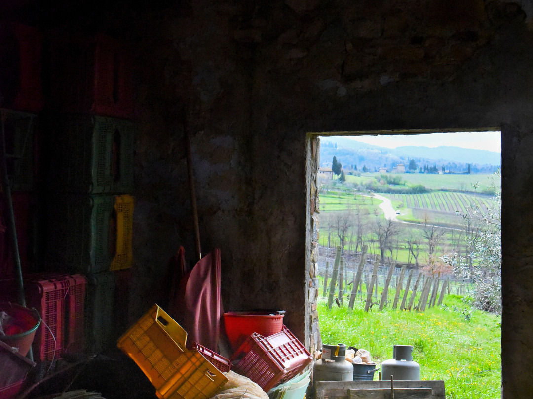 Montecalvi Winery景点图片