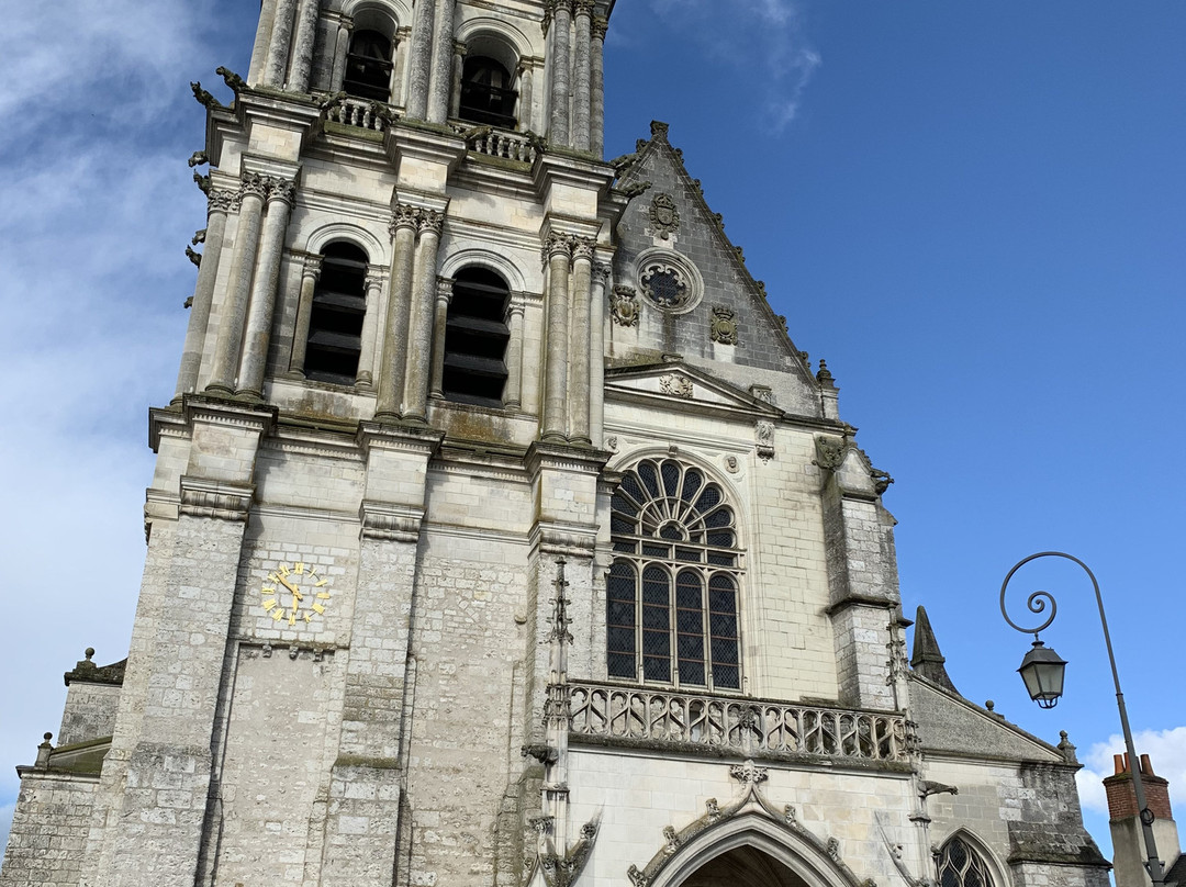 Cathédrale Saint-Louis景点图片