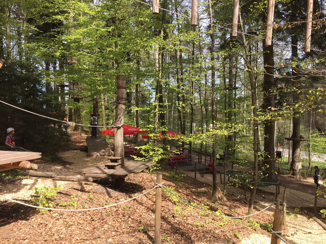 Kletterwald Prien-基姆湖畔普林必去景点