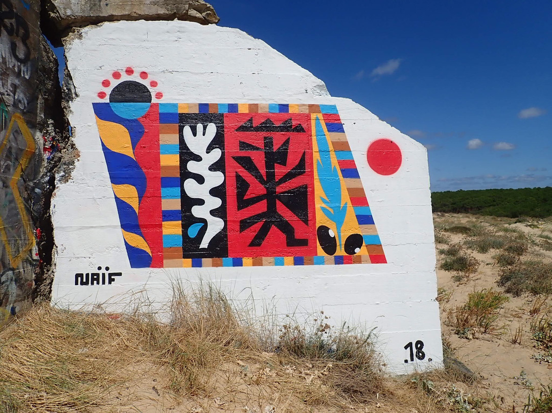 Ecole de Surf Silverlandes景点图片
