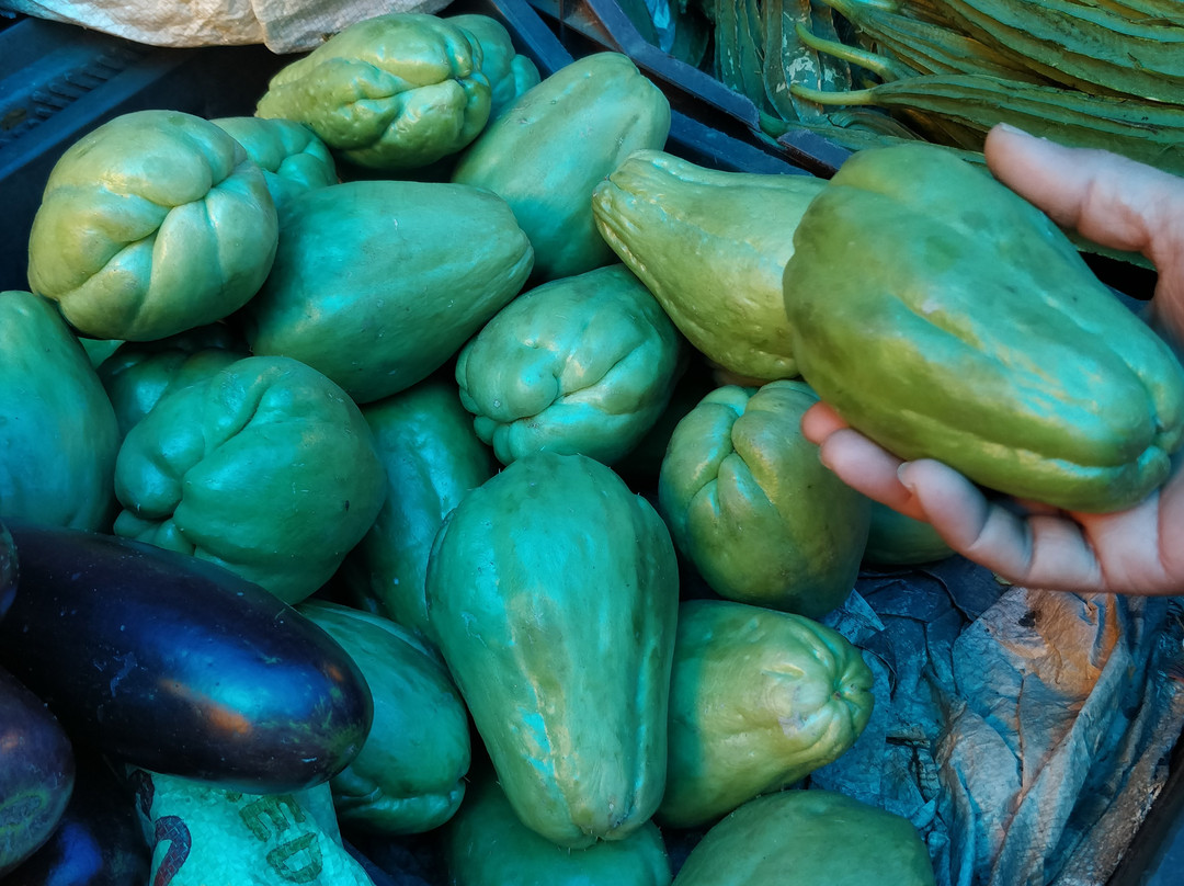 Hong Kong Market-西里古里必去景点