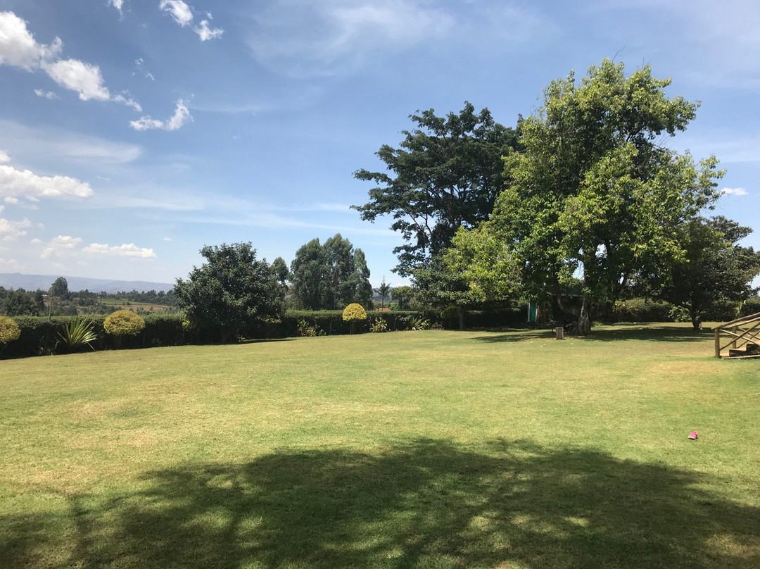 Rays Place Inn主图