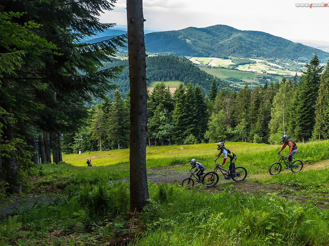 Kasina Ski & Bike Park-Mszana Dolna必去景点
