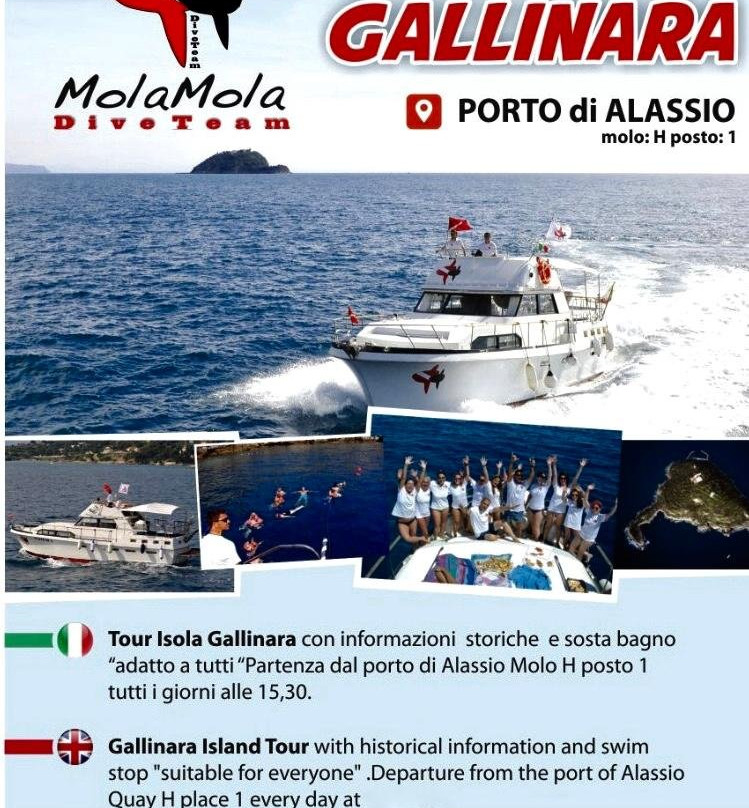 Isola Gallinara Tour e whale watching景点图片