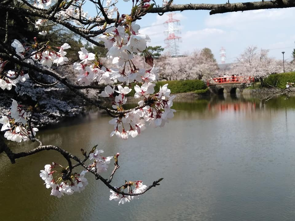 Kijo Park-刈谷市必去景点