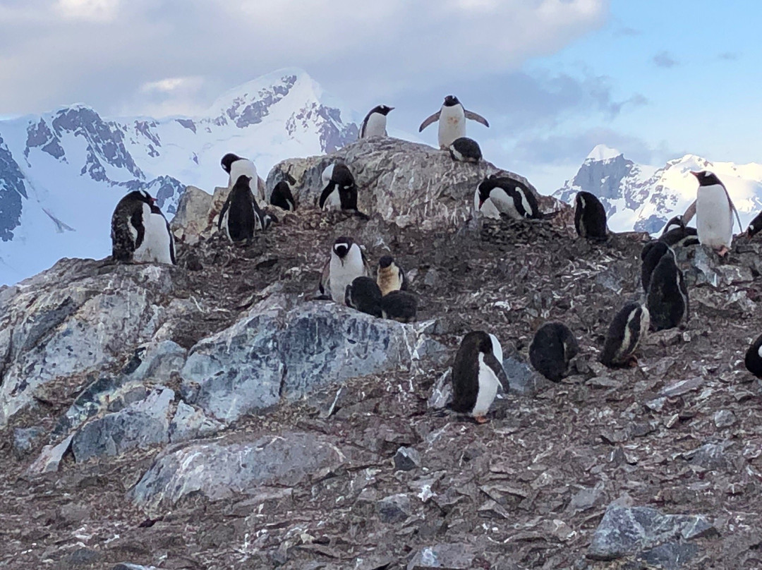 Base General Bernardo O'higgins-Antarctic Peninsula必去景点