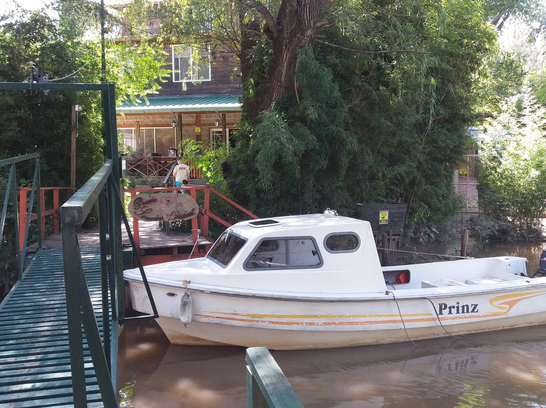 Senador Dupont主图