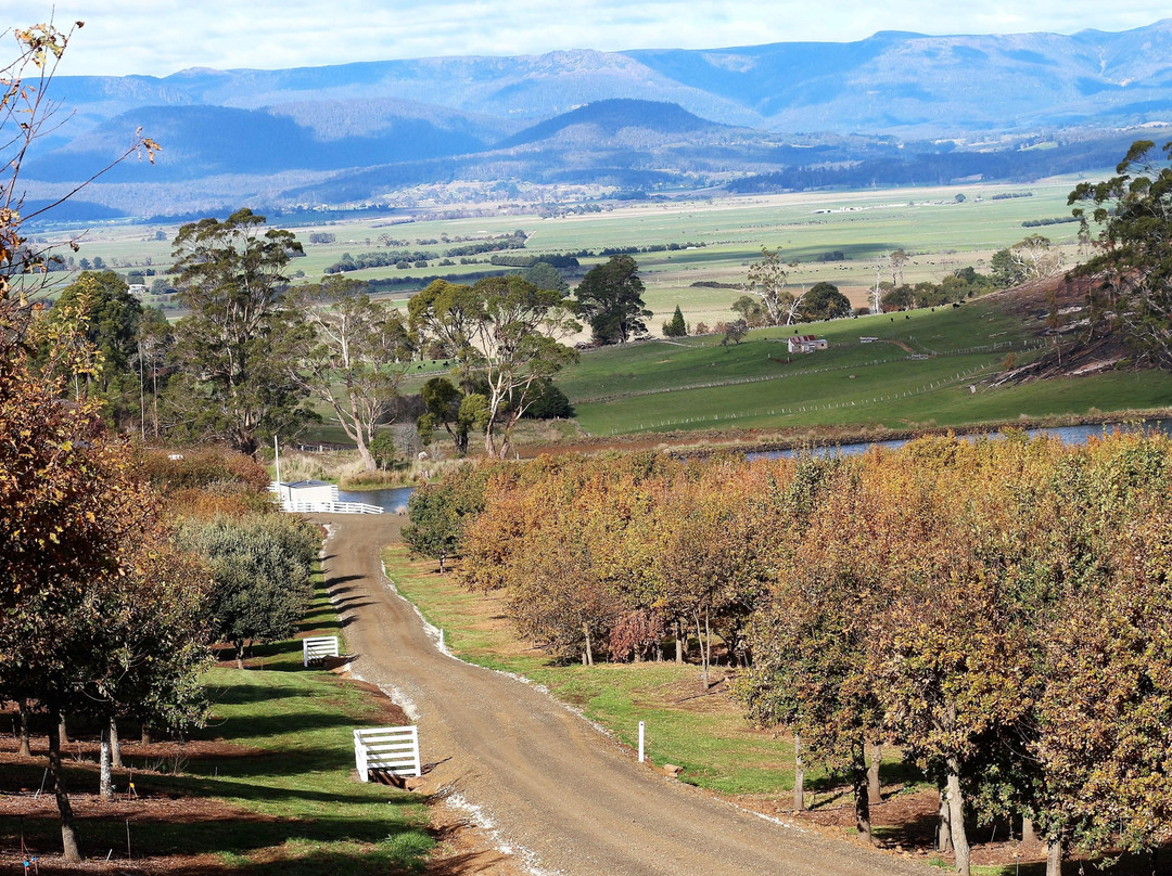 Truffles of Tasmania景点图片