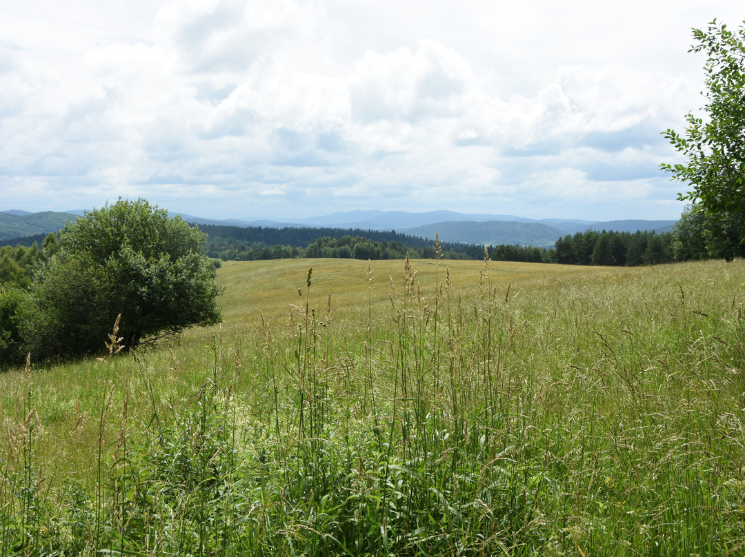 Park Krajobrazowy Gór Słonnych景点图片