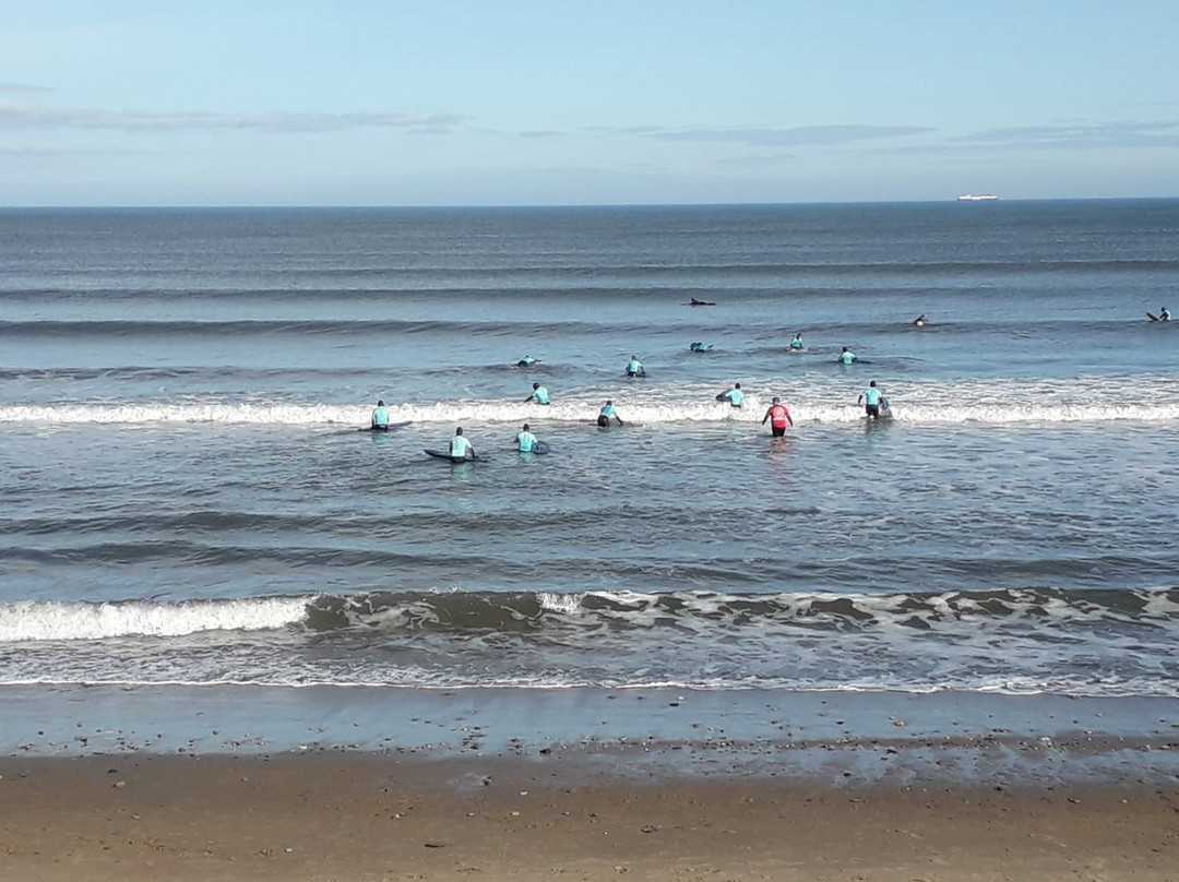 Whitby Surf School景点图片