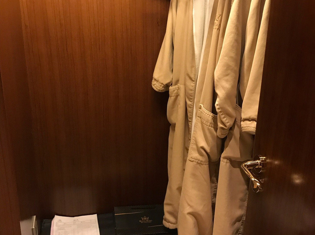 顺辉铂晶巴登酒店主图