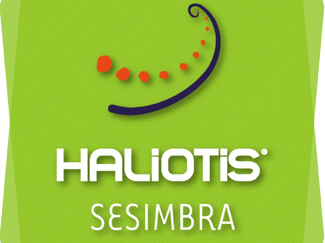 Haliotis Sesimbra-塞新布拉必去景点
