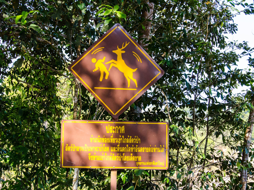 Khao Yai National Park景点图片
